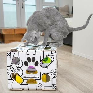 Slides Interactive Cat Toy Puzzle Feeder